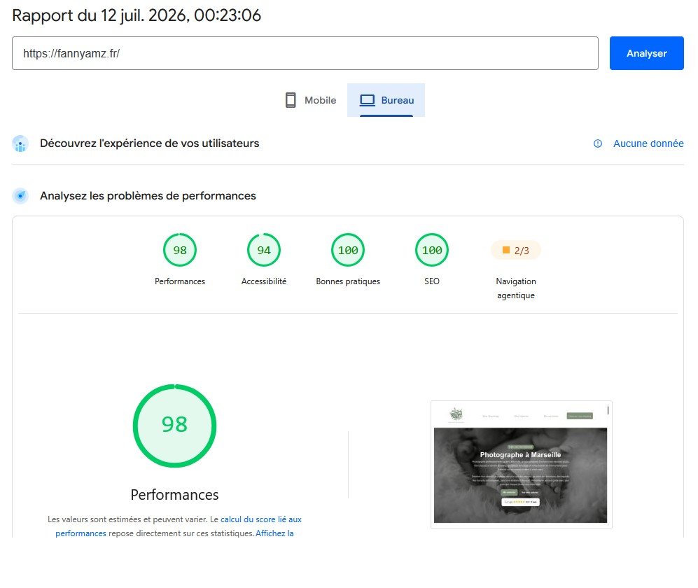 Statistiques Page Speed Insights